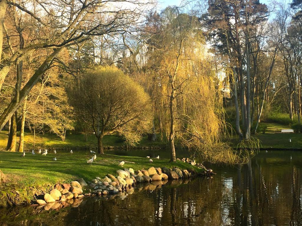 Vila Elegancija Palanga Bagian luar foto